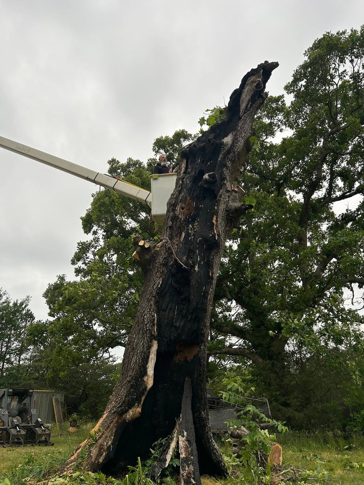 A broken tree trunk with a bucket truck beside it