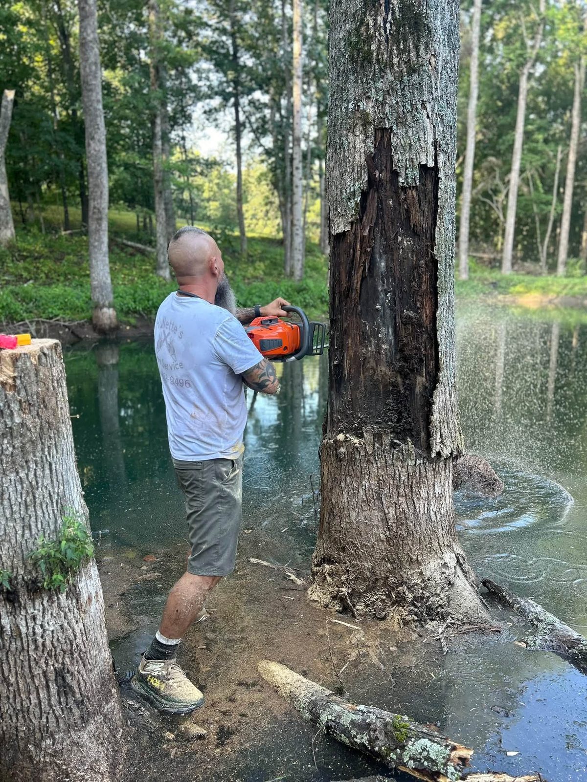 A person cutting a large tree beside the water