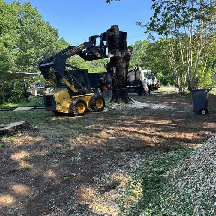 A loader sitting with cut brush