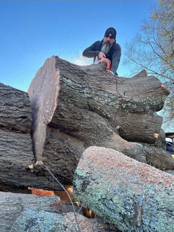 Cutting a stack of large logs