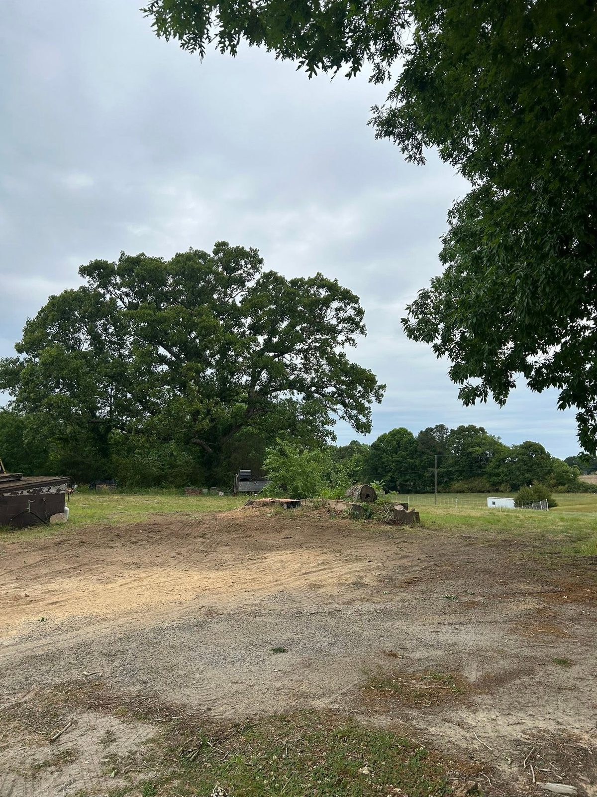 Open ground after tree work