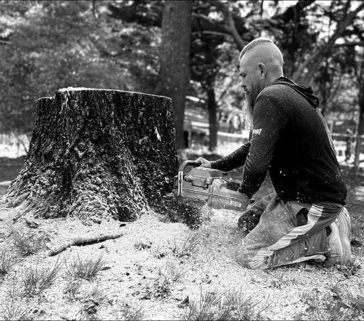 A person cutting into a large stump with a chainsaw